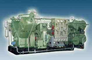 大港油田采油五厂天然气综合利用工程投产