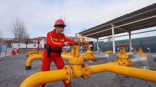 中石油煤层气公司天然气冬季保供 考卷 得高分