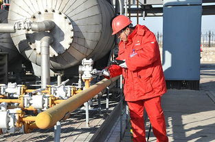 威斯盾科技固定资产管理系统助力企业实现巡检智慧化