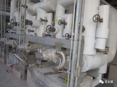 无泄漏泵技术哪家强 4家外资品牌对比