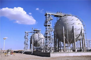 八年之约 八载坎坷磨难,他们志比天高