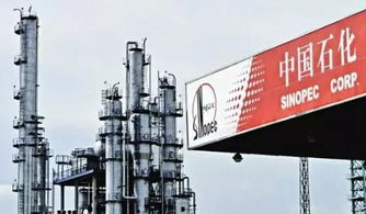 原来中石油中石化的区别在这里,大多数司机都不知