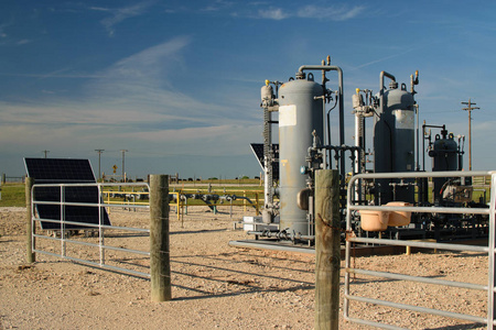 福特嘉年华方照片