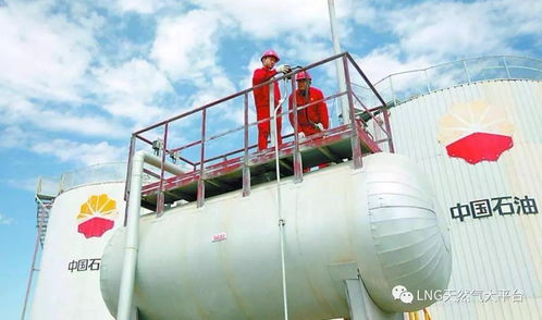 中石油保供任务圆满完成 天然气产量 lng单日气化量 储气库单日采气量均破历史极值