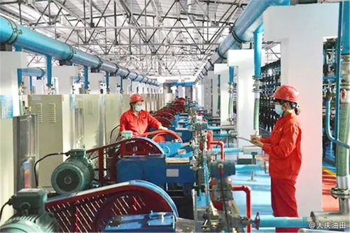 大庆油田第二采油厂 全力以赴争夺效益金牌，助力石油天然气设备高效运行