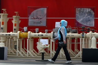 无惧美制裁 伊朗将开发波斯湾天然气田