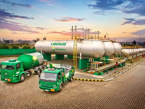 巴西国家石油公司出售天然气管道资产九成股权，深化资产重组战略